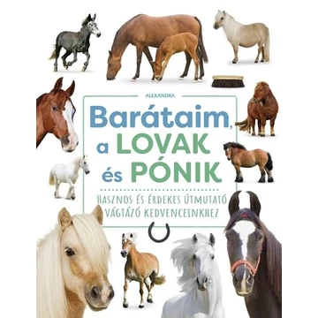 Barátaim, a lovak és pónik