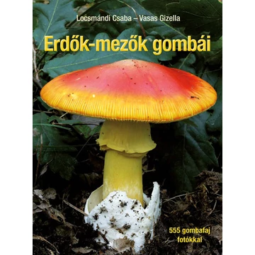 Erdők-mezők gombái - 555 gombafaj - fotókkal