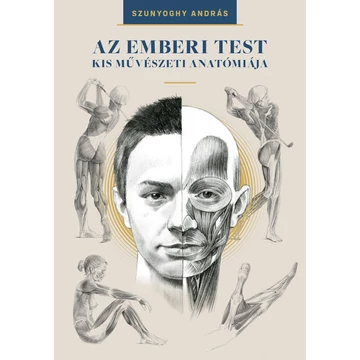 Az emberi test kis művészeti anatómiája