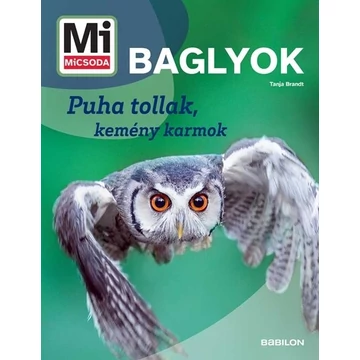 Baglyok - Mi MICSODA ÚJ - Puha tollak, kemény karmok