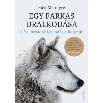 Egy farkas uralkodása - A Yellowstone legendás alfahímje