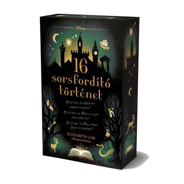 Disney - 16 sorsfordító történet - Sorsfordító történetek - Éldekorált