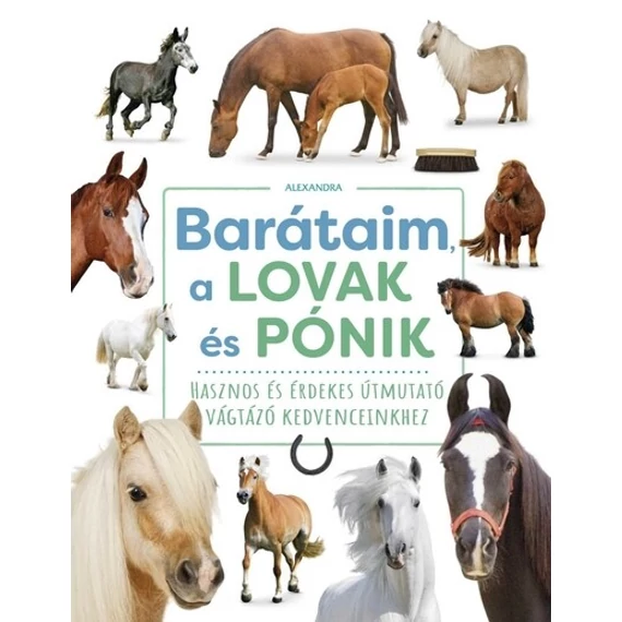 Barátaim, a lovak és pónik