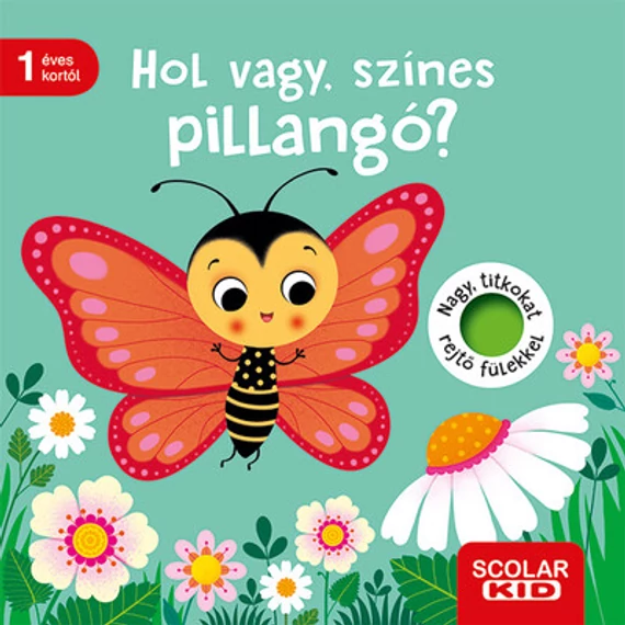 Hol vagy, színes pillangó?